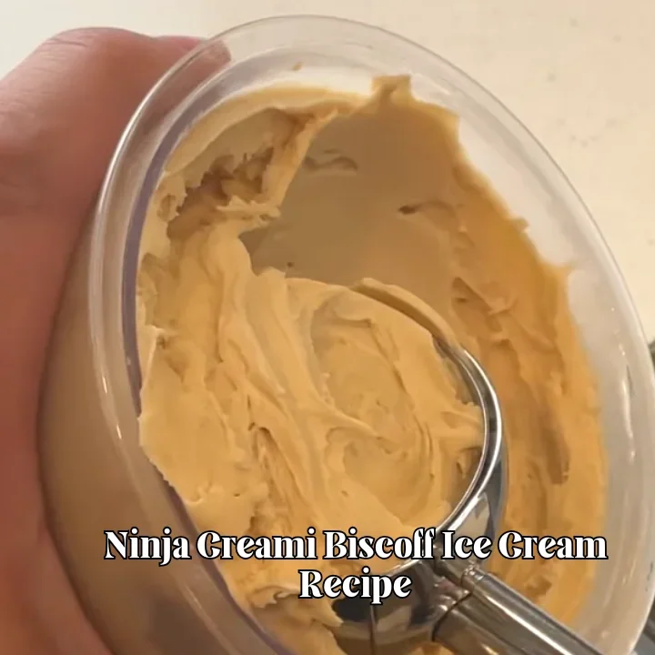 Ninja Creami Biscoff Ice Cream Recipe